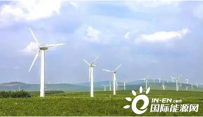 ▲ 图片来源：新京报网