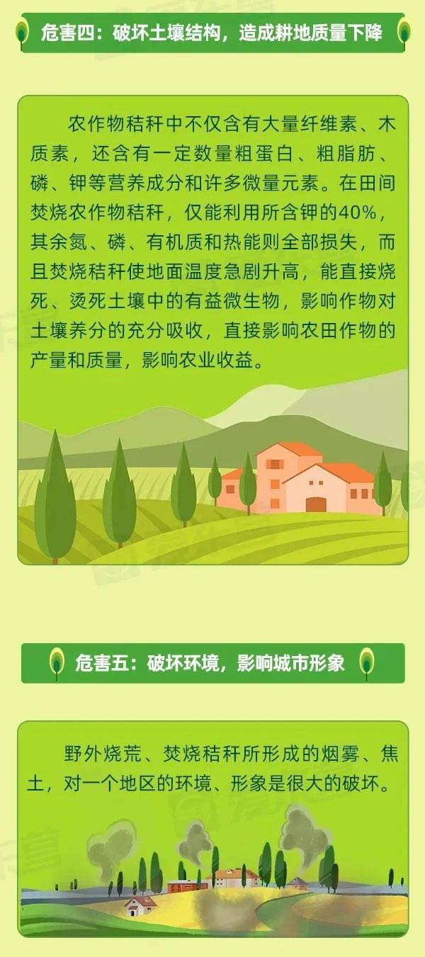 一图读懂 | 秸秆焚烧危害大，随意焚烧还违法！