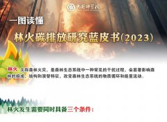 <b>一图读懂——林火碳排放研究蓝皮书</b>